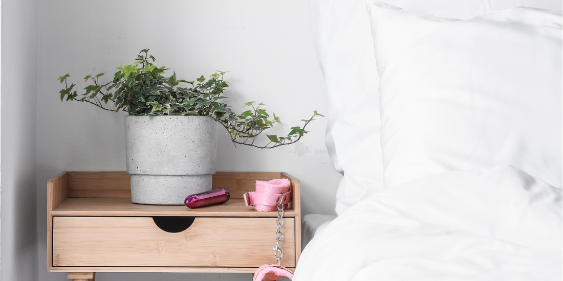 Bedside table with plant and two oink adult toysand bed