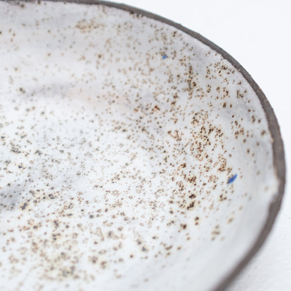 Close-up of a ceramic plate with speckled texture on a white background
