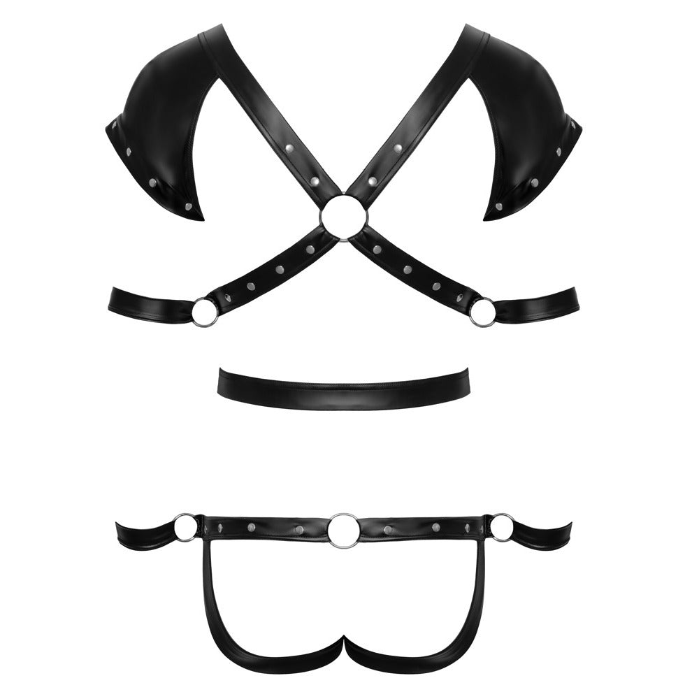 Black Restraint Harness Body with 4 Restraints 4