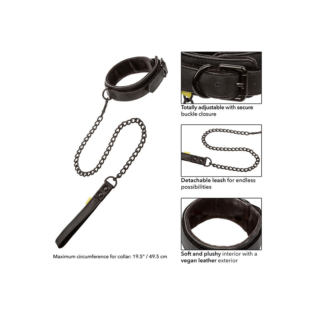 Boundless Collar and Leash features on white background. image 2