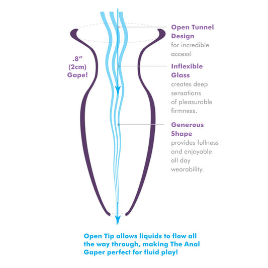 Glass Anal Fantasy Elite Plug1