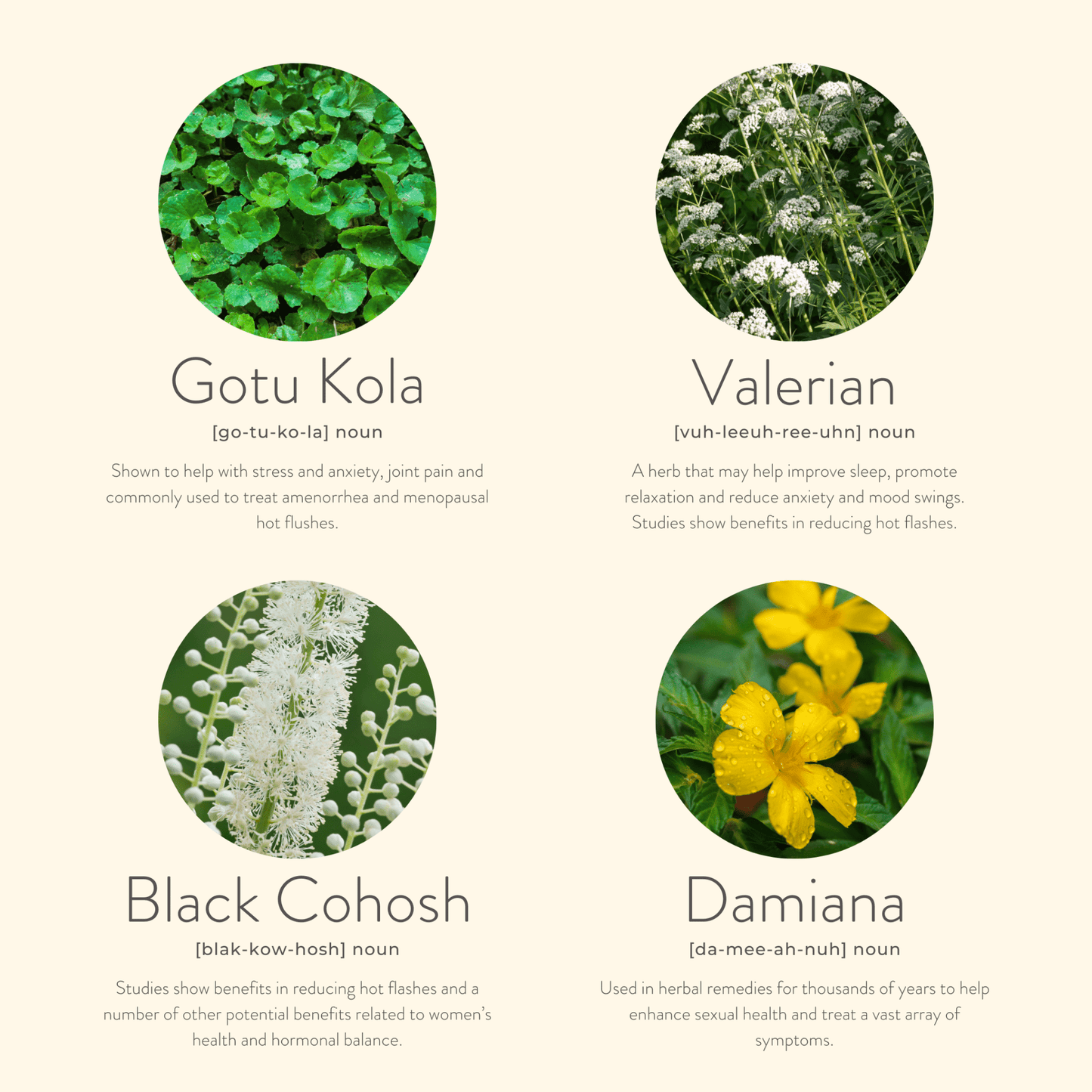 Herbal remedies with images and names on a light green background