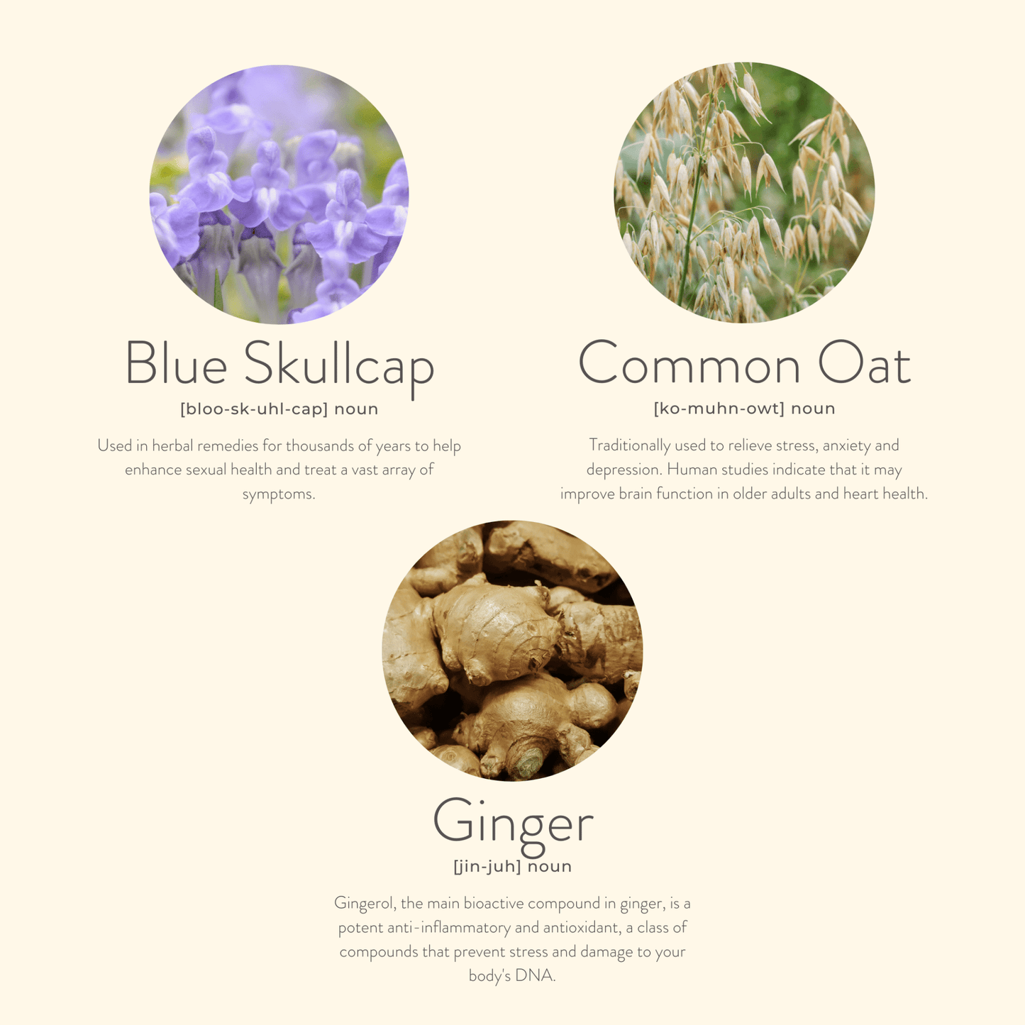 Three circular images of Blue Skullcap, Common Oat, and Ginger with text on a beige background.