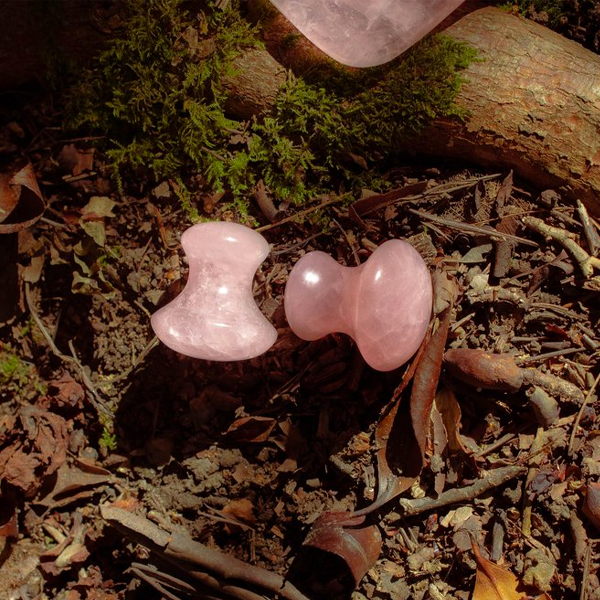 Two pink stone plugs on a natural background with moss and wood.
