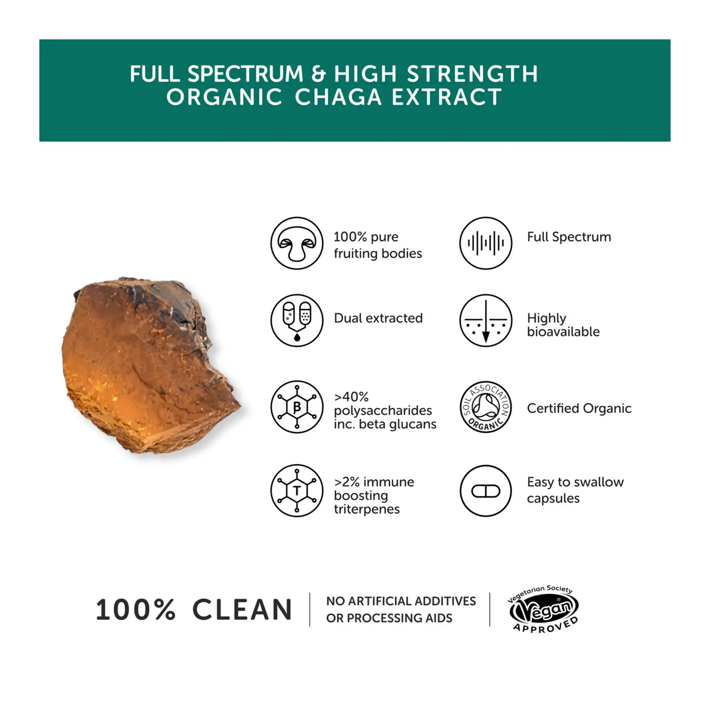 TogetherHealth-Chaga-Info