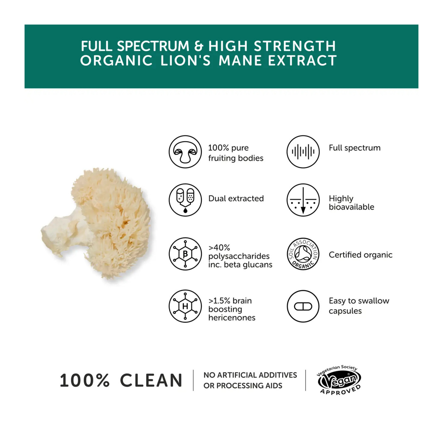 TogetherHealth-LionsMane-Info
