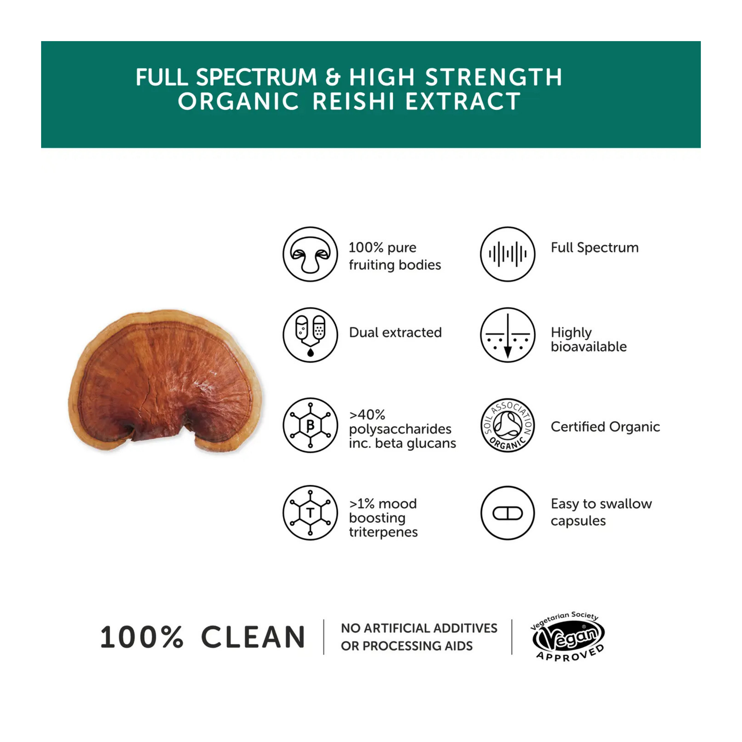TogetherHealth-Reishi-Info