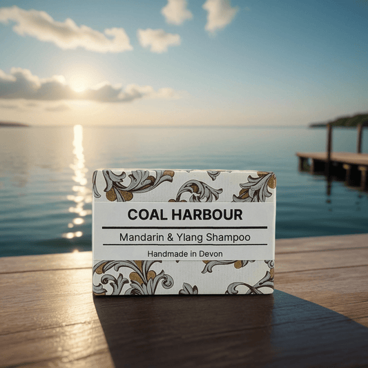 Box of Coal Harbour Mandarin & Ylang Shampoo on a wooden dock with a scenic background