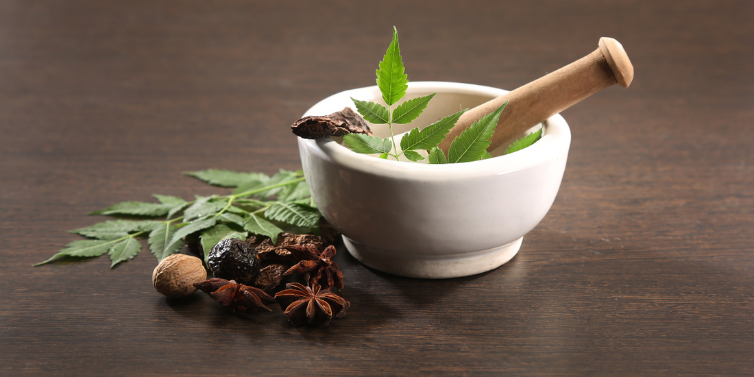 pesel and mortar with herbs and spices inside and on the side