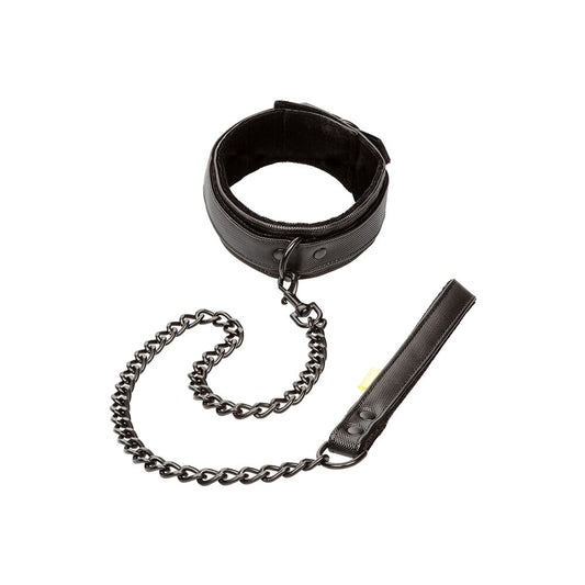 Boundless Collar and Leash on white background. image 1