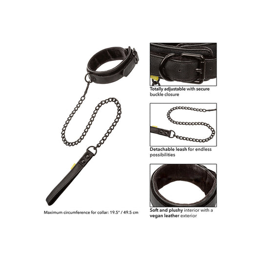 Boundless Collar and Leash features on white background. image 2