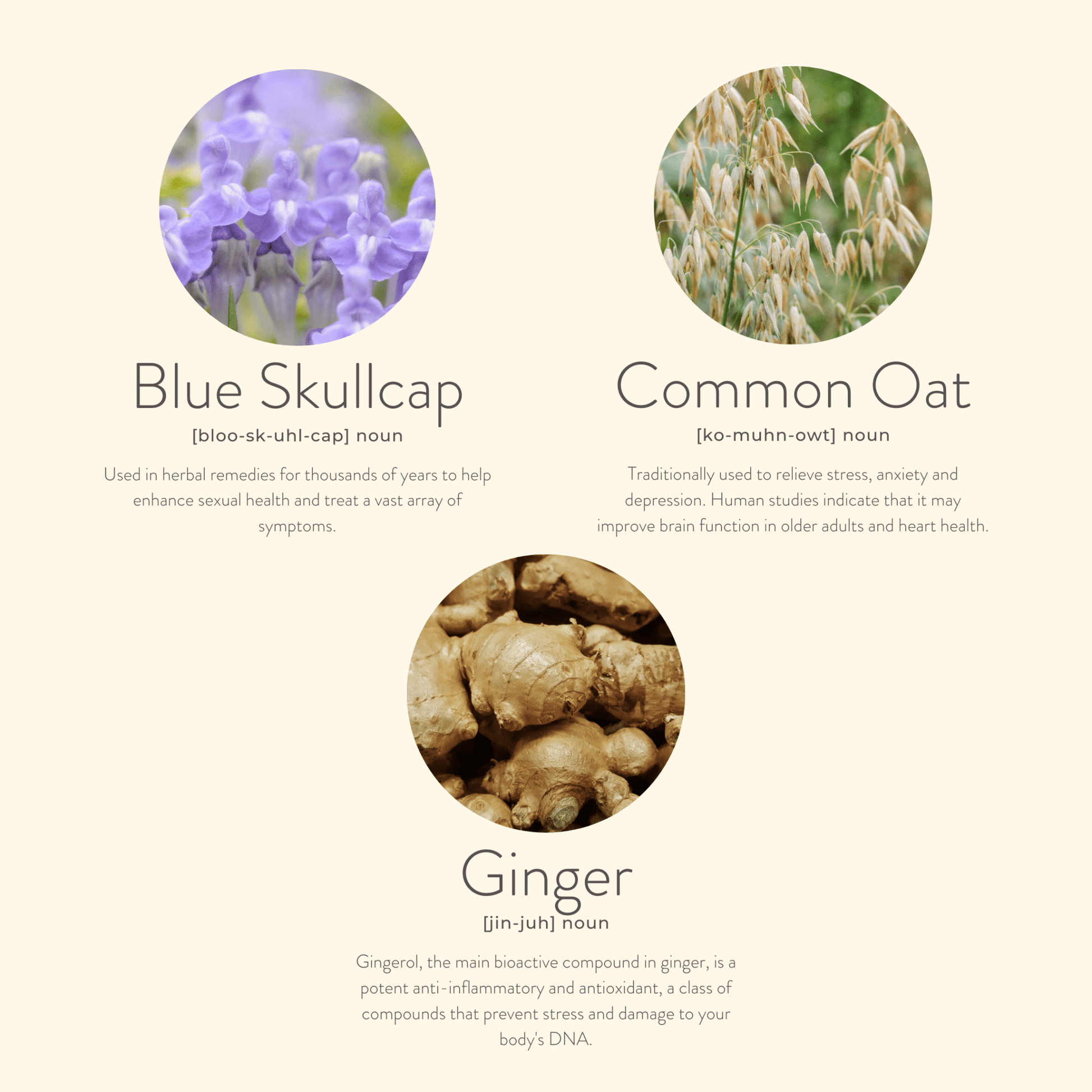 Three circular images of Blue Skullcap, Common Oat, and Ginger with text on a beige background.