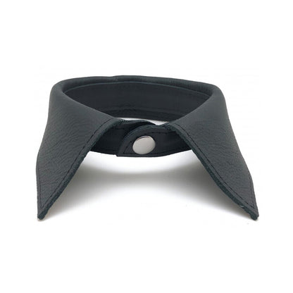 black leather collar on white background. image 1.