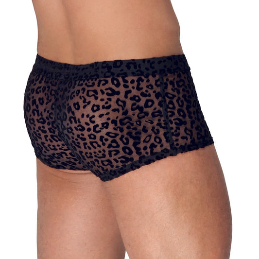 Sheer Leopard Velvet Flock Pants1