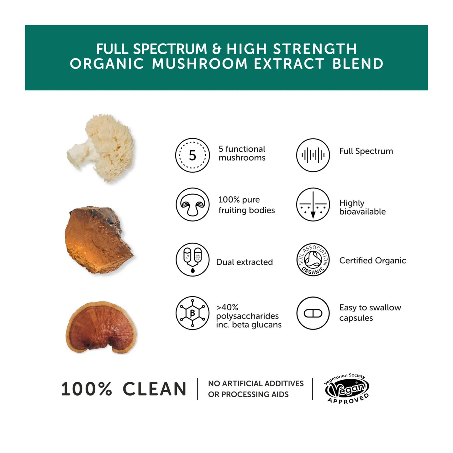 TogetherHealth-Mushroom5-Info