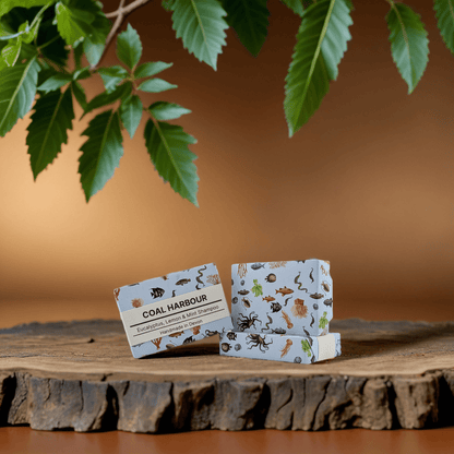 Two bars of soap with 'Coal Harbour' branding on a wooden surface with green leaves in the background.